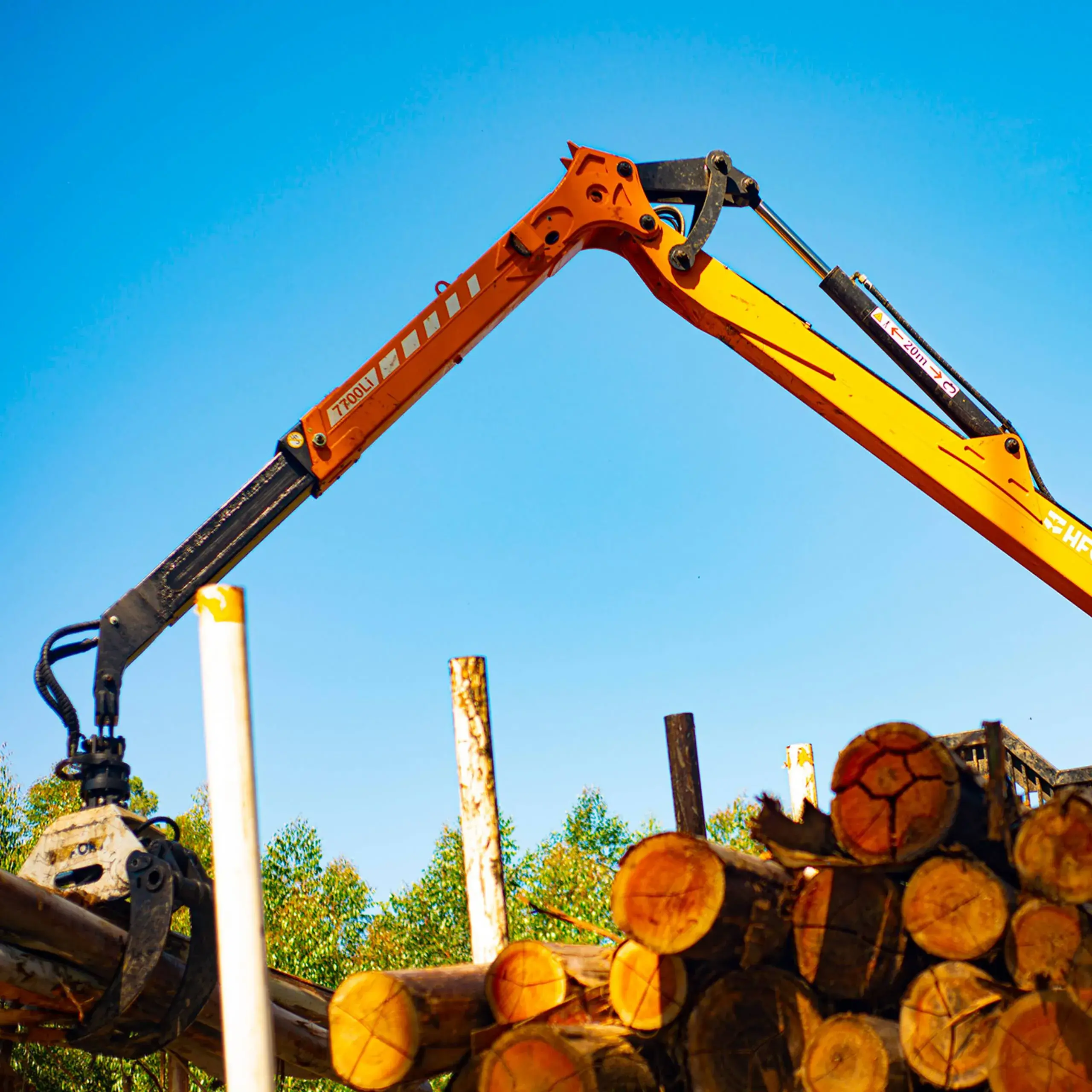 Carreta florestal HFORT: transporte de madeira com mais praticidade